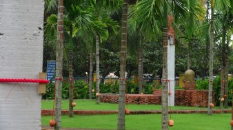 garden-338x189