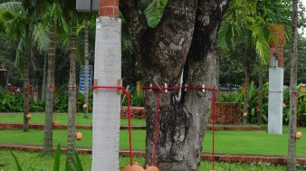 garden2-338x189