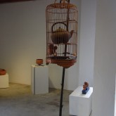kooi-165x165